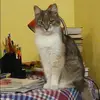 Отзыв от Оля Мельникова